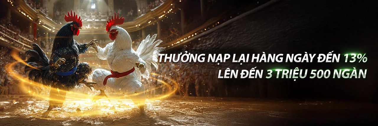 Tin tức N8BET mới nhất và các sự kiện cá cược hấp dẫn