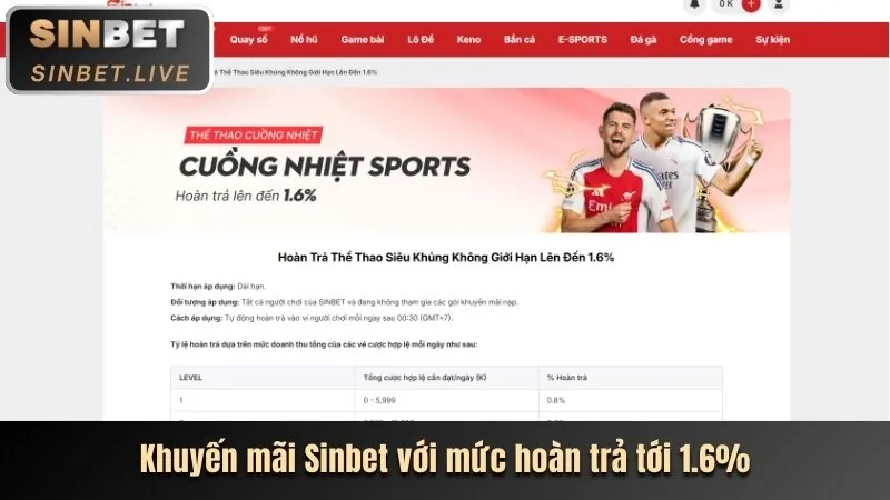 Cá cược thể thao trên ứng dụng N8BET